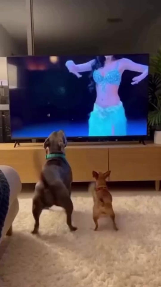 Post 5 by c.indrix on TikTok (video)