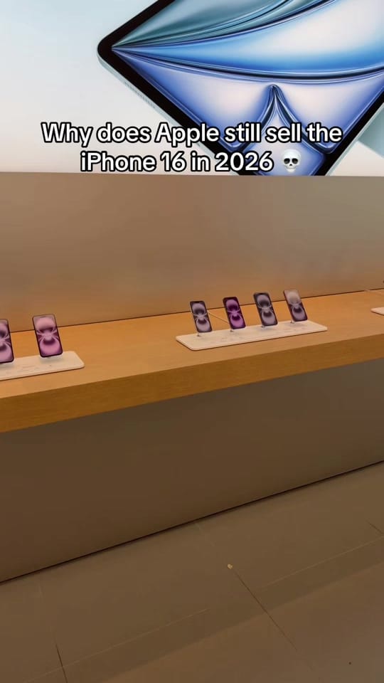 Post 3 by Alex  on TikTok (video)