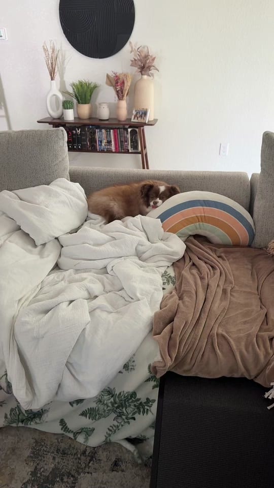 Post 6 by Sherlockwatsontoyaussie on TikTok (video)