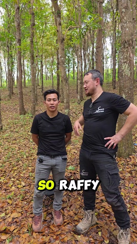 Post 4 by The Snake Hunter on TikTok (video)
