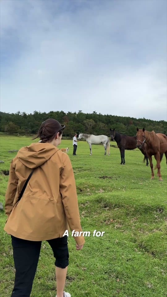 Post 10 by Hannah on TikTok (video)
