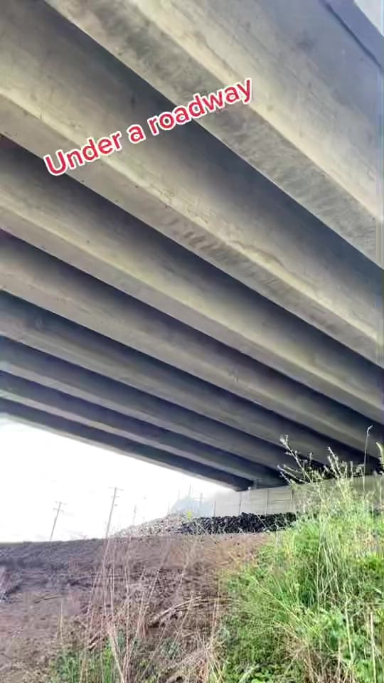 Post 7 by Seemyshell 🇦🇺 on TikTok (video)