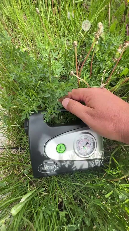 Post 3 by Seemyshell 🇦🇺 on TikTok (video)