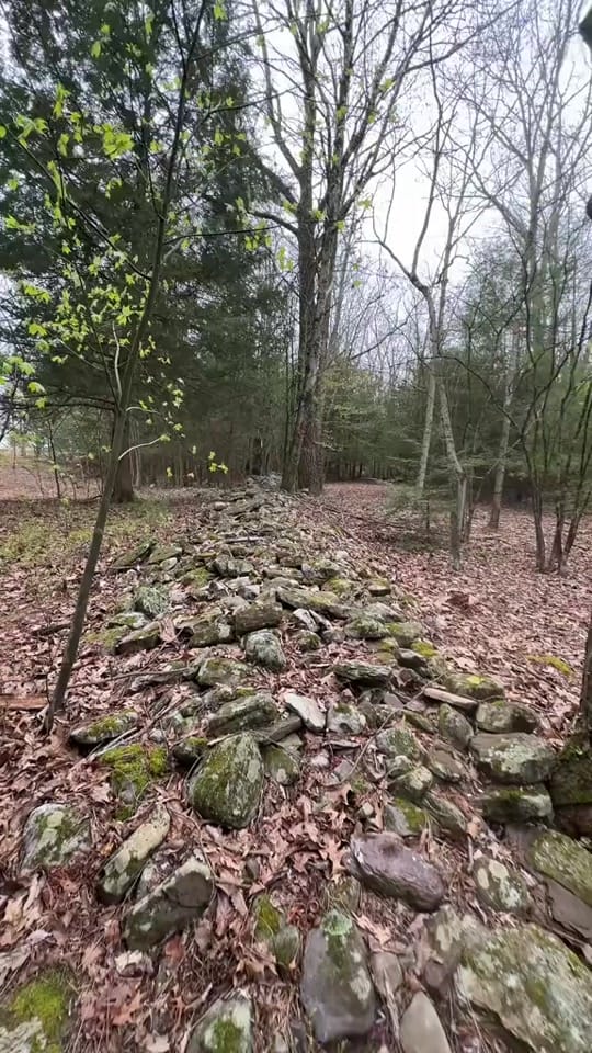 Post 5 by Seemyshell 🇦🇺 on TikTok (video)
