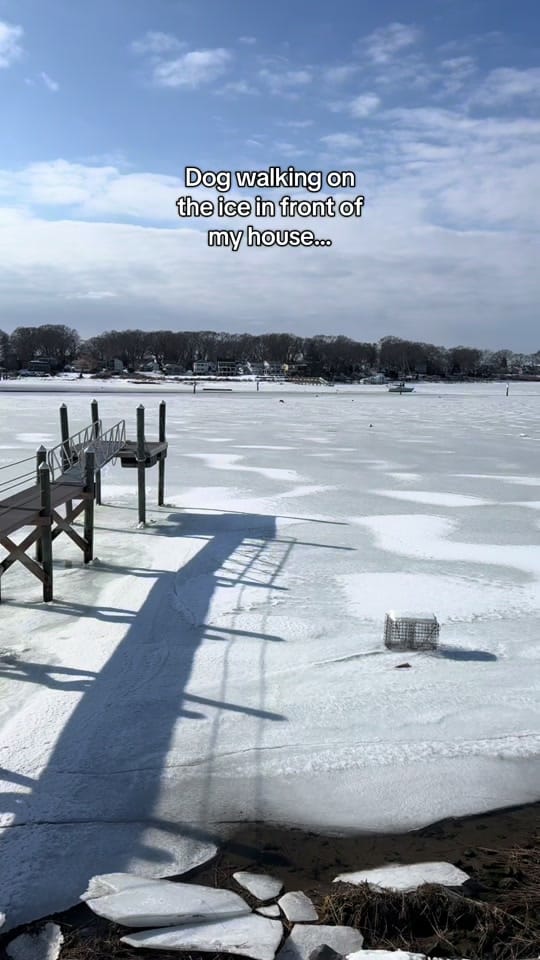 Post 2 by Sydney Parkhurst on TikTok (video)