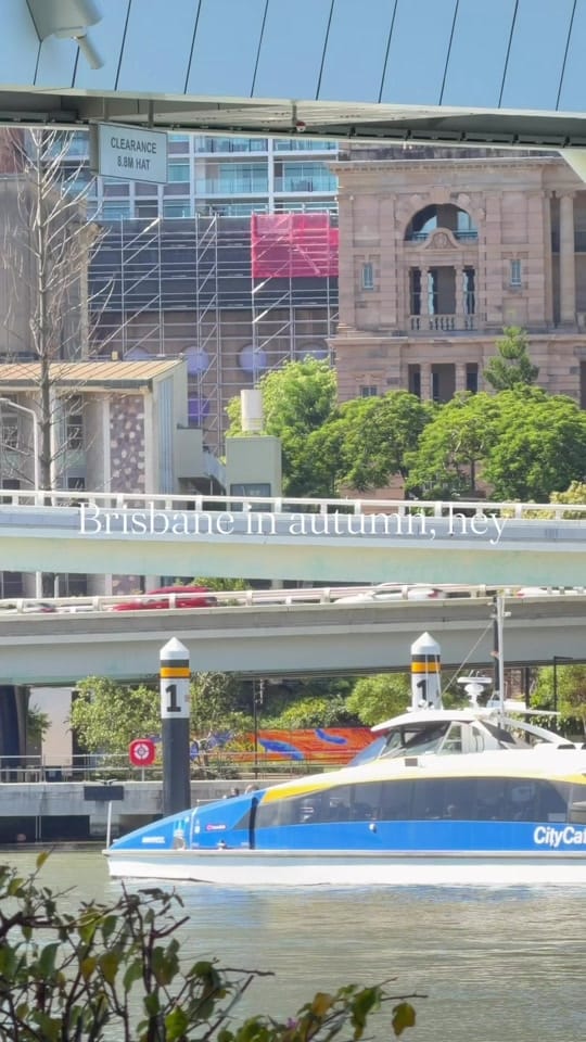 Post 1 by Scotty McDonald | Brisbane on TikTok (video)