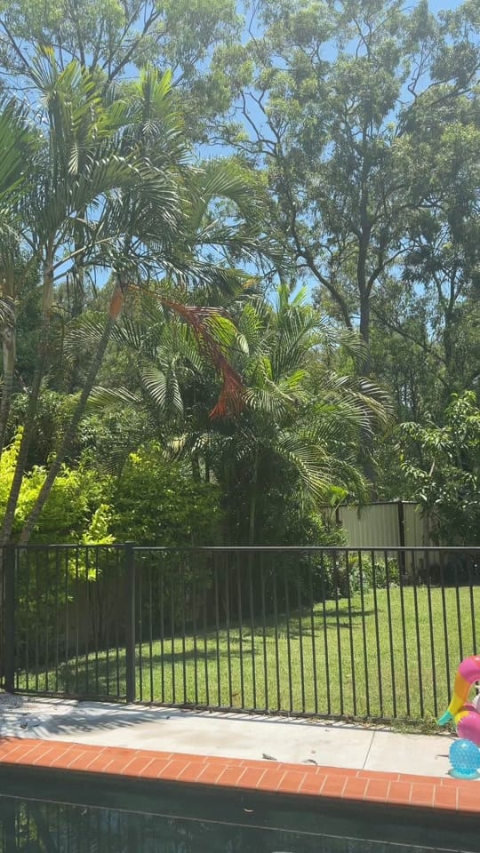 Post 6 by Scotty McDonald | Brisbane on TikTok (video)