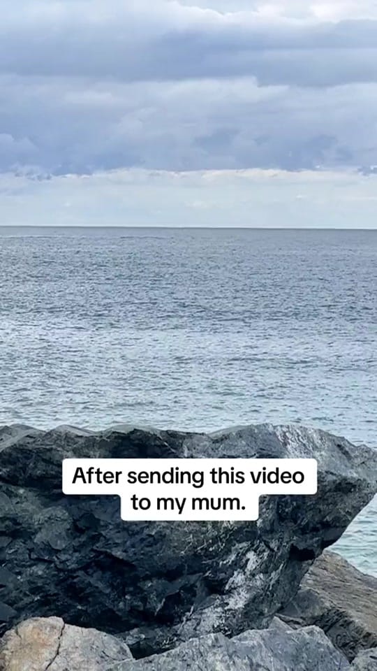 Post 9 by Dan Sanguineti on TikTok (video)