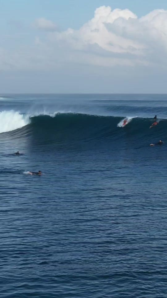 Post 3 by skymonkey5 on TikTok (video)