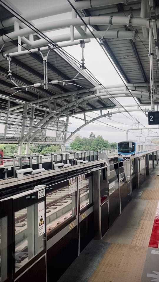 Post 6 by QThai on TikTok (video)