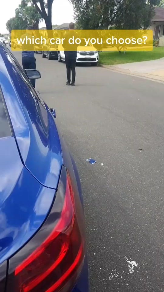 Post 10 by Paradise Pro on TikTok (video)