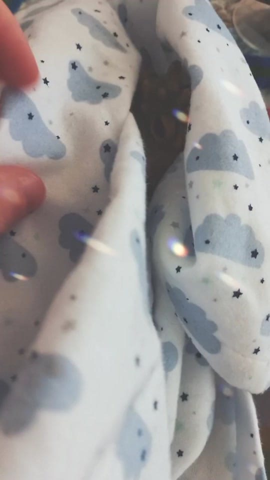 Post 8 by Kat on TikTok (video)