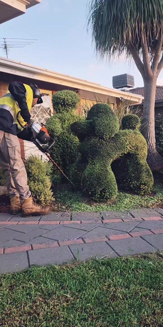 Post 3 by Jarron Harris - Topiary Artist on TikTok (video)