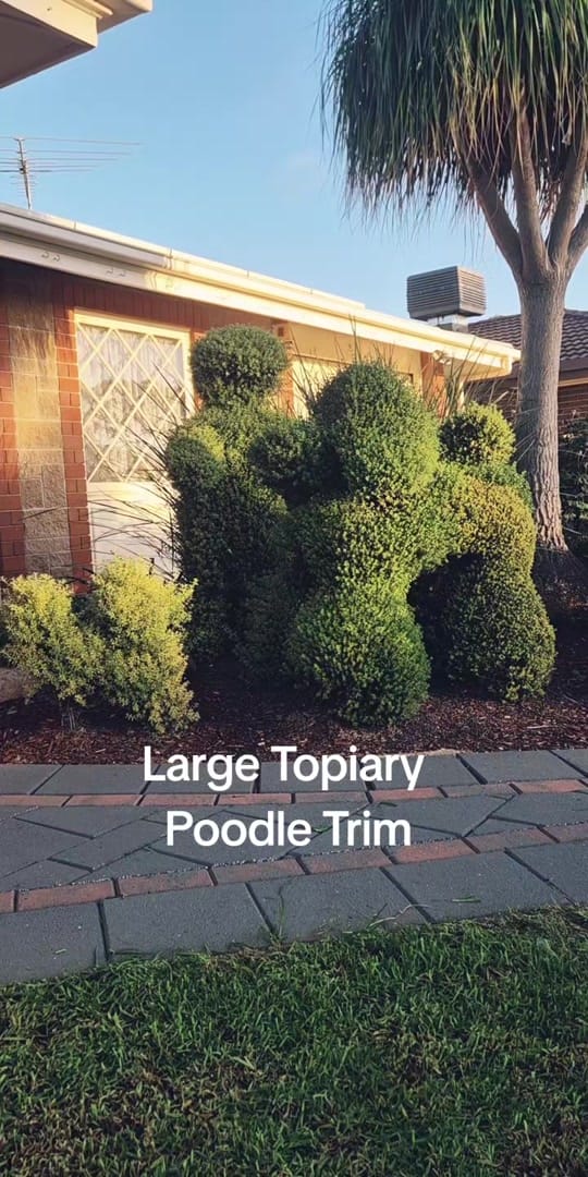 Post 4 by Jarron Harris - Topiary Artist on TikTok (video)