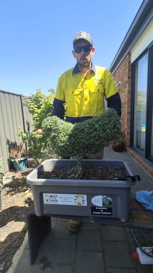 Post 10 by Jarron Harris - Topiary Artist on TikTok (video)