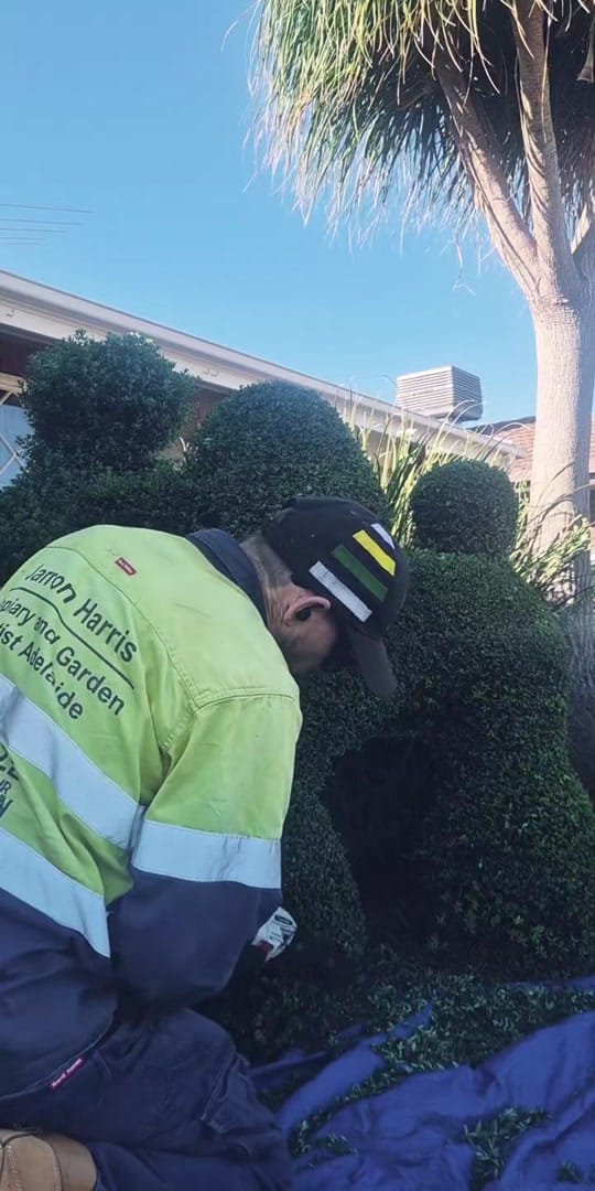 Post 9 by Jarron Harris - Topiary Artist on TikTok (video)