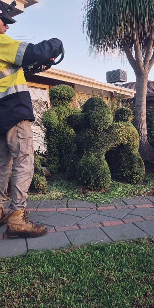 Post 2 by Jarron Harris - Topiary Artist on TikTok (video)