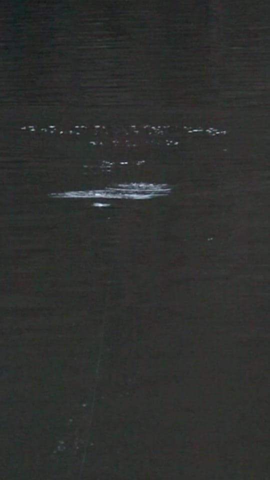 Post 4 by Griff Lures on TikTok (video)