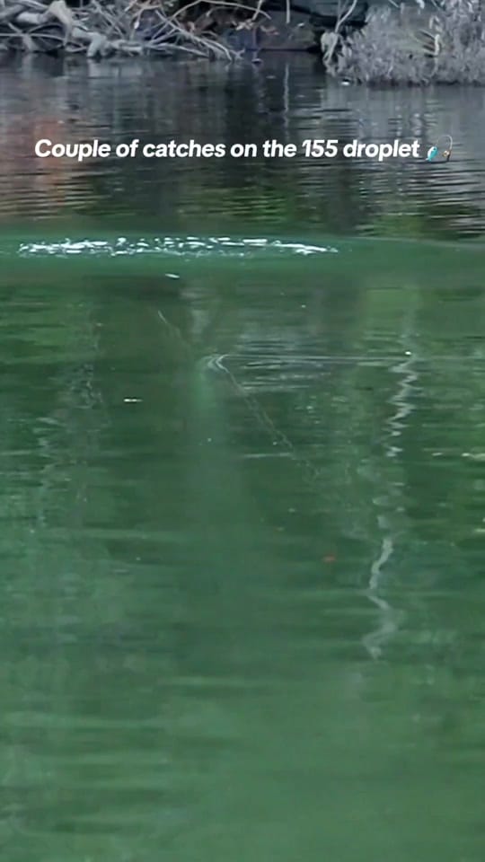 Post 8 by Griff Lures on TikTok (video)