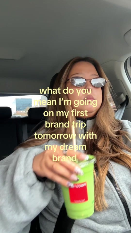 Post 4 by Lu Silvestri on TikTok (video)