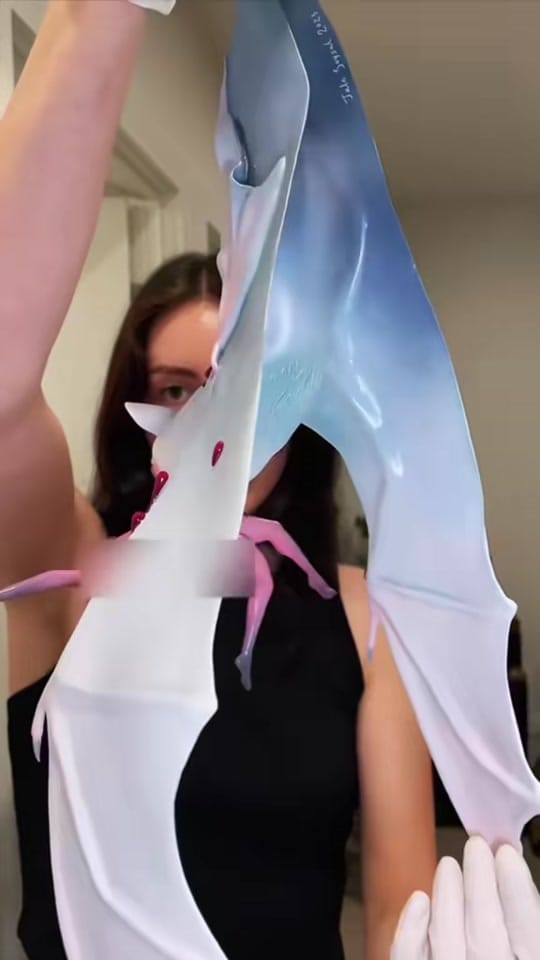 Post 10 by JaleSoysal on TikTok (video)