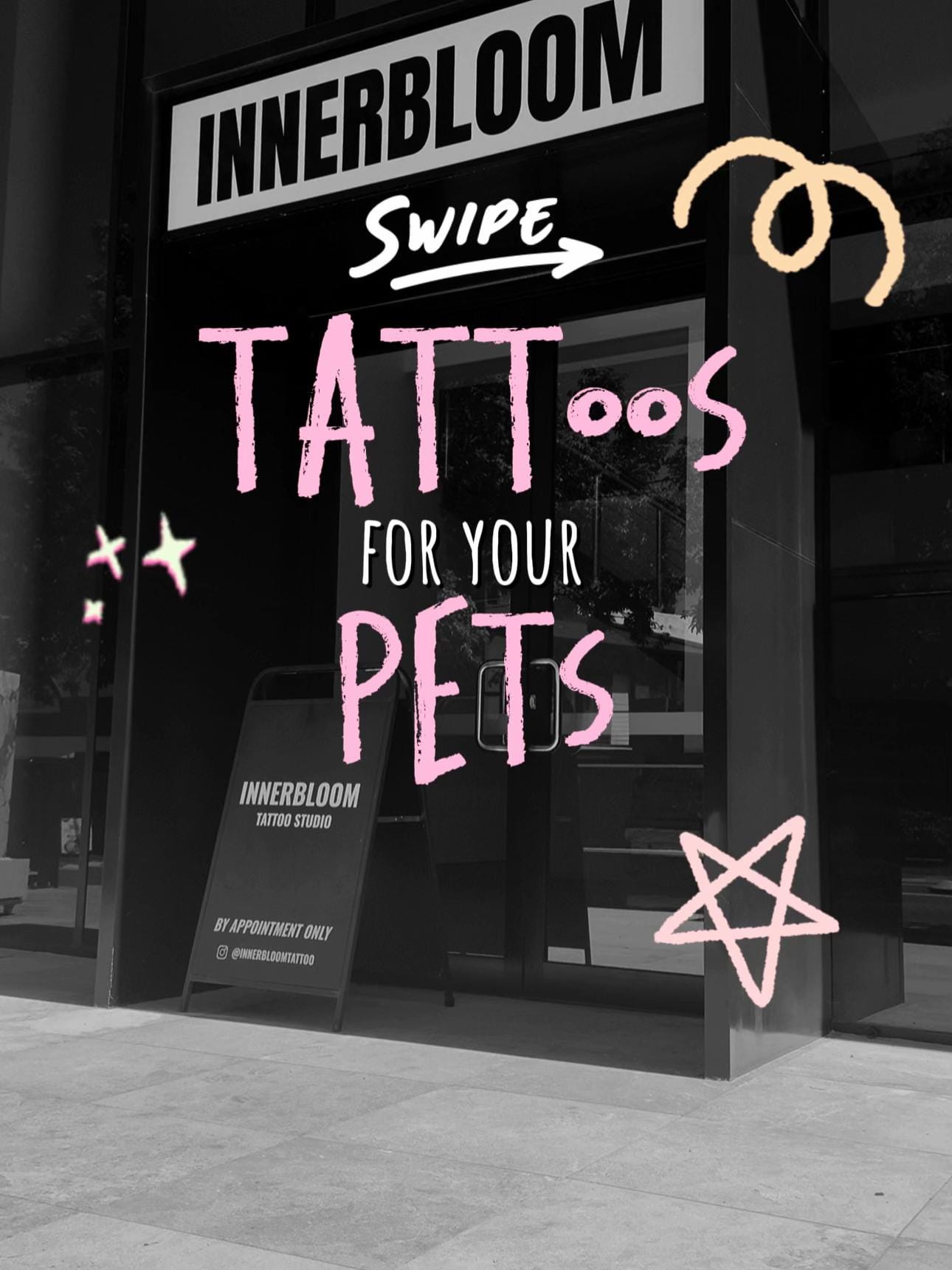 Post 4 by denkitats on TikTok (video)