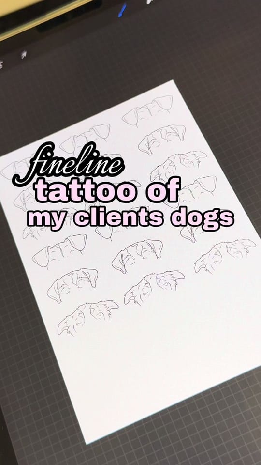 Post 6 by denkitats on TikTok (video)