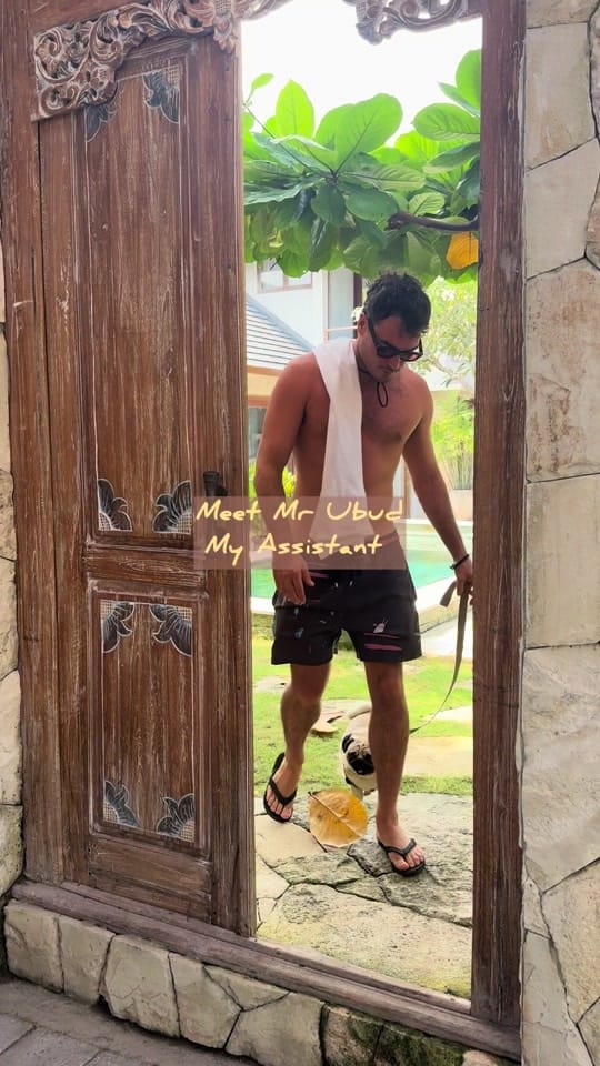 Post 5 by reif myers on TikTok (video)