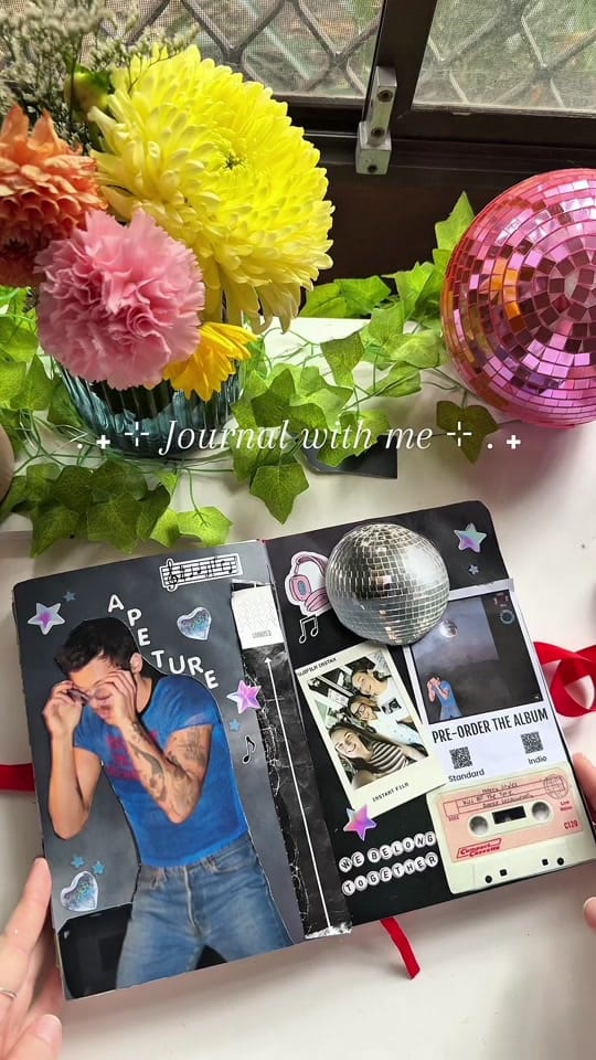 Post 8 by Ceinlys ✨🦋 on TikTok (video)