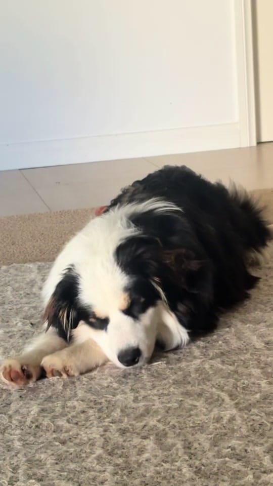 Post 3 by Brono🎨 on TikTok (video)