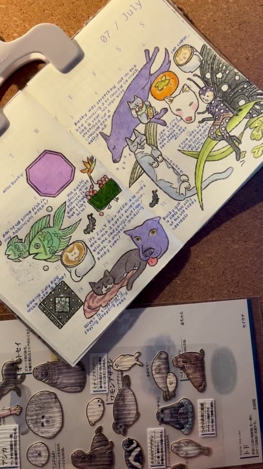 Post 8 by zie ⋆｡𖦹 °✩ on TikTok (video)