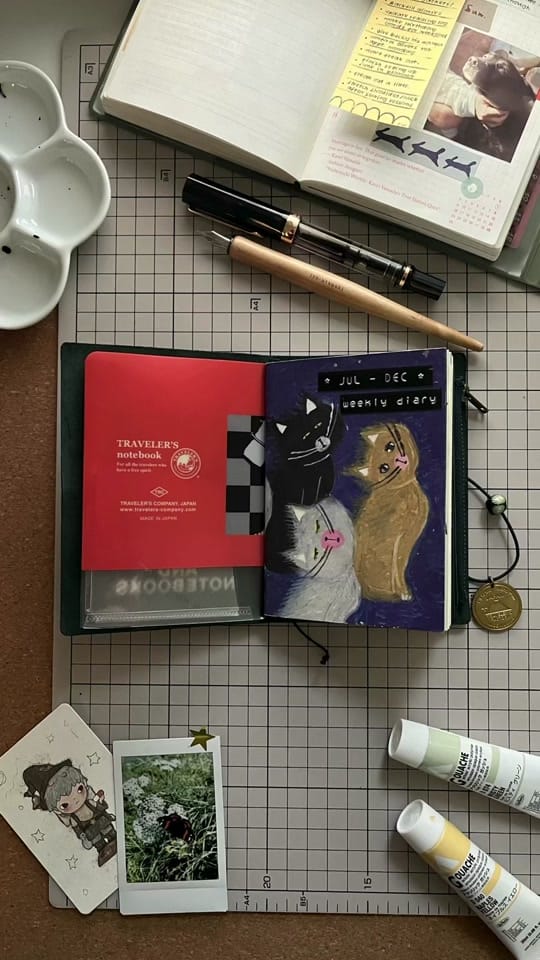 Post 4 by zie ⋆｡𖦹 °✩ on TikTok (video)