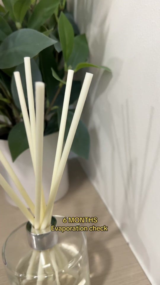 Post 6 by WinkyWax® Candles on TikTok (video)