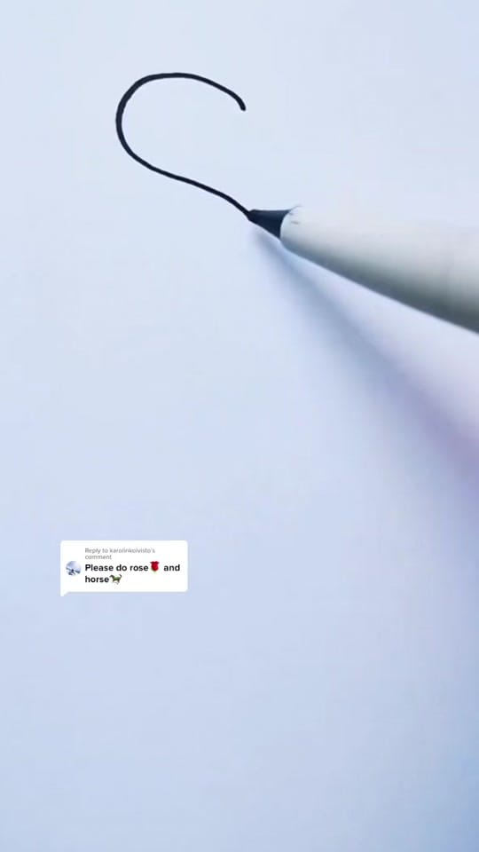Post 3 by Echo on TikTok (video)