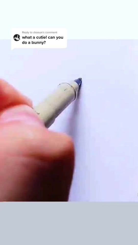Post 5 by Echo on TikTok (video)