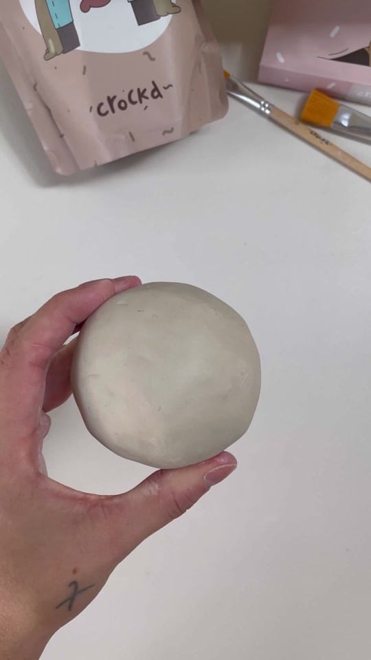 Post 1 by paxxyandflora on TikTok (video)