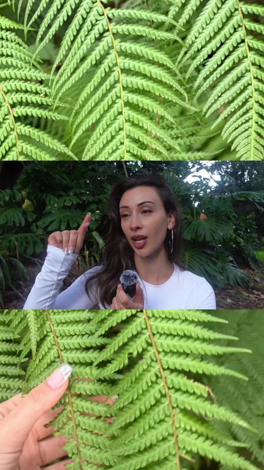 Post 6 by katneoo on TikTok (video)