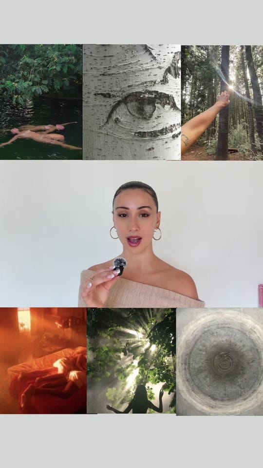 Post 7 by katneoo on TikTok (video)