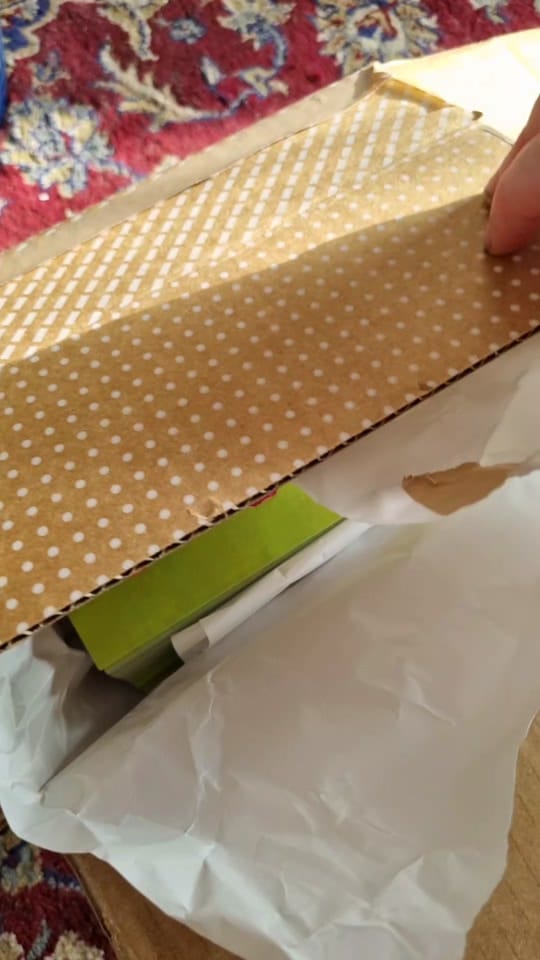 Post 10 by oxenfrii art on TikTok (video)