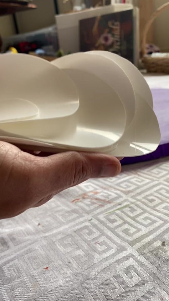 Post 4 by Swapna Namboodiri on TikTok (video)