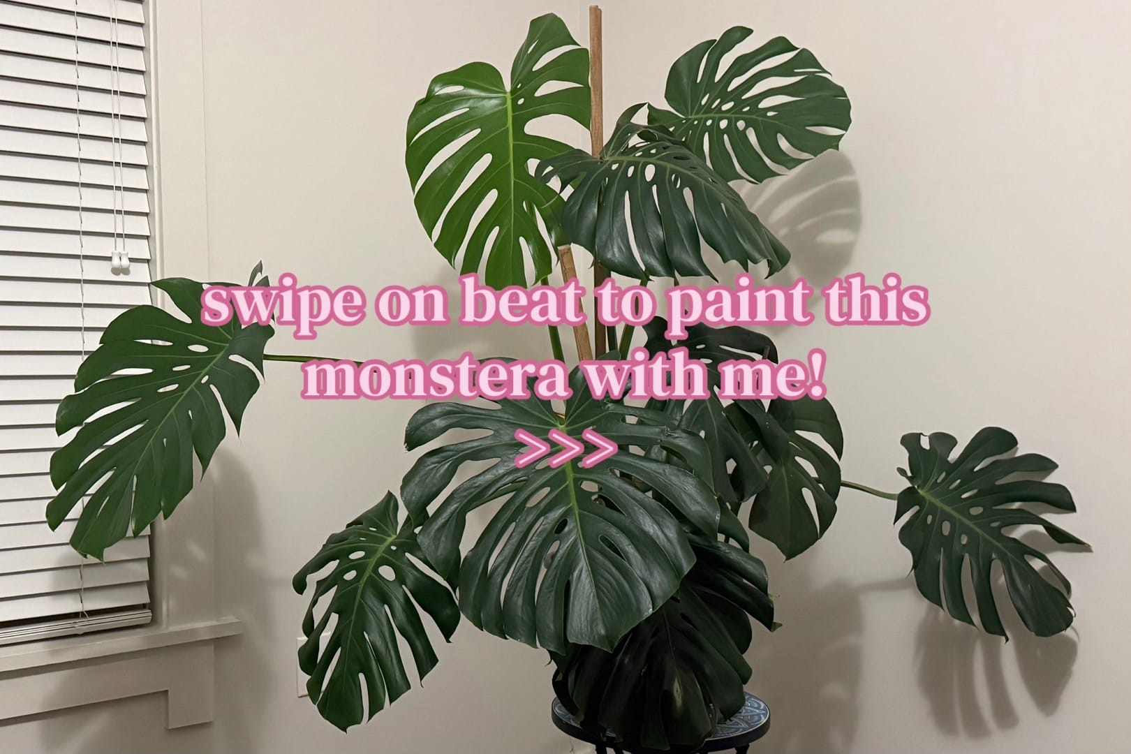 Post 5 by Sydney | Hare Atelier on TikTok (video)