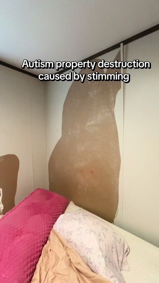 Post 3 by Raising Sydney on TikTok (video)