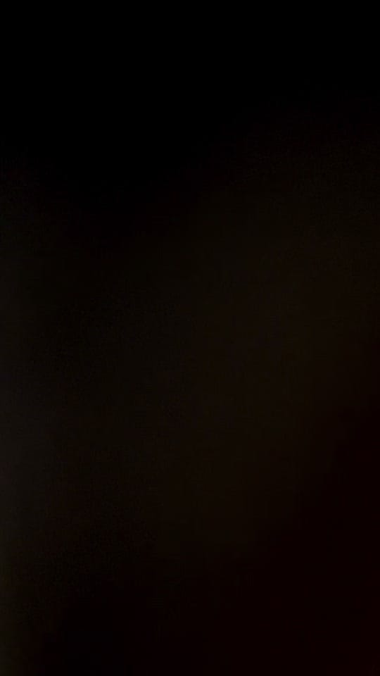 Post 7 by Pen and Paw on TikTok (video)