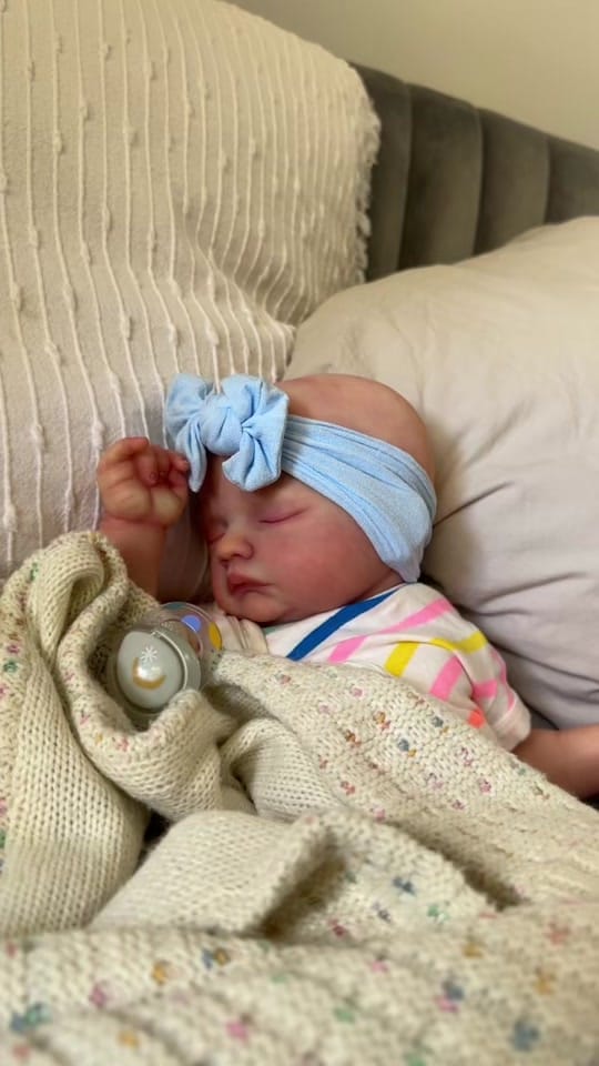 Post 4 by cc’s nursery on TikTok (video)
