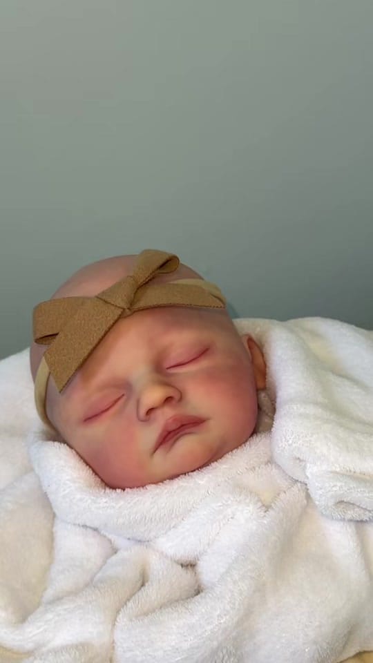 Post 8 by cc’s nursery on TikTok (video)