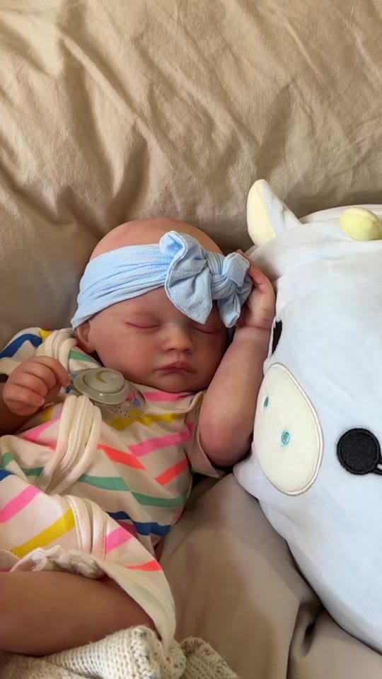 Post 3 by cc’s nursery on TikTok (video)