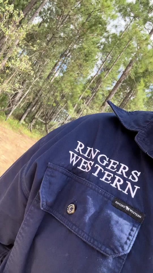 Post 3 by Wipertech on TikTok (video)