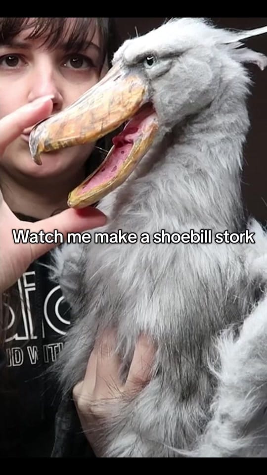 Post 9 by Creatures of Nat on TikTok (video)