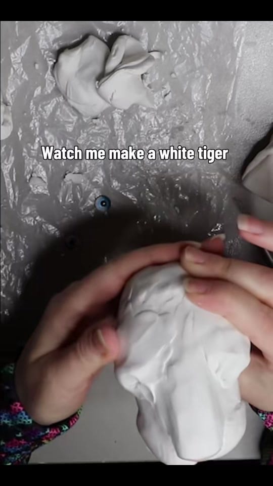 Post 7 by Creatures of Nat on TikTok (video)