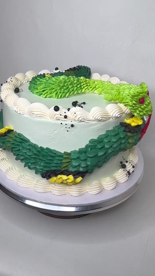 Post 8 by cakes.by.si on TikTok (video)